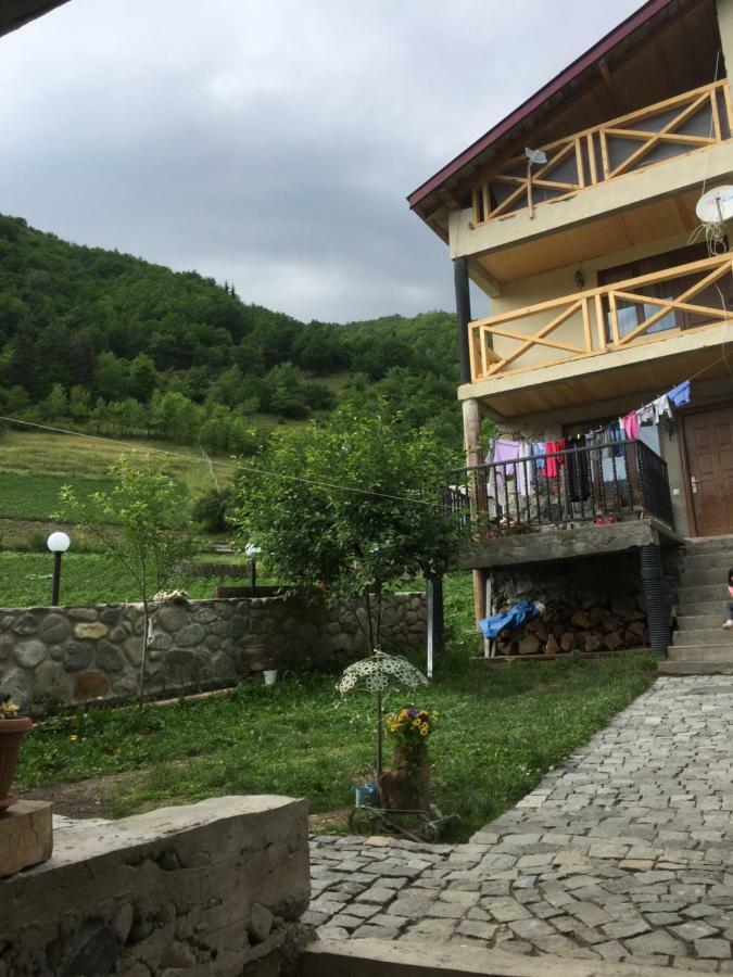 Sakhli Laghamshi Hotel Mestia Kültér fotó